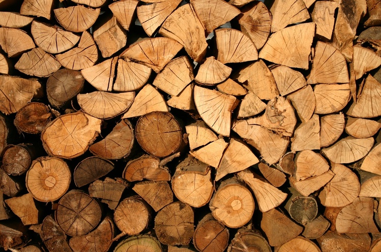 У 2020 році в Україні заготовили понад 15 млн кубічних метрів деревини - Держлісагентство