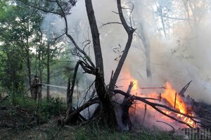 «Горіла сосна…»: чи чекати цьогоріч пожеж у Чорнобилі