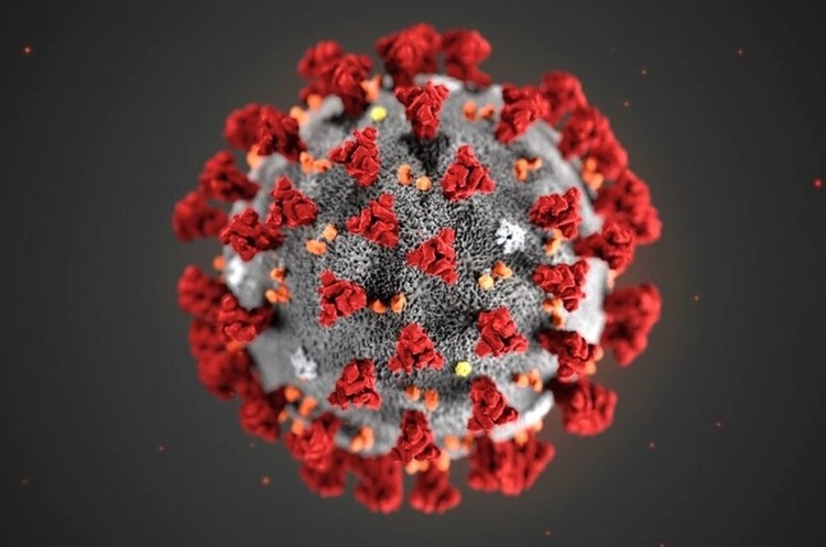 фото DR ВООЗ попереджає: люди, які перехворіли на COVID-19, можуть заразитися новим штамом вірусу