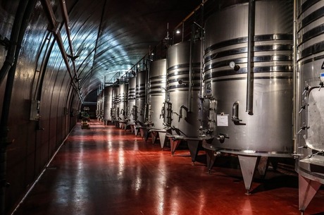AB InBev Efes    2020 