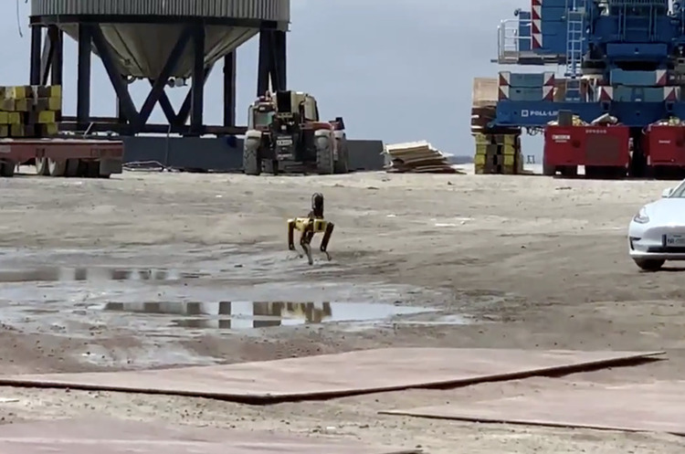 фото DR На місці вибуху ракети Starship було помічено робо-собаку Boston Dynamics