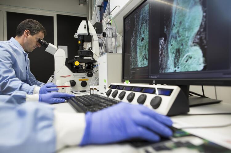 Roche купить виробника молекулярних діагностичних тестів GenMark Diagnostics за $1,8 млрд Roche купить виробника молекулярних діагностичних тестів GenMark Diagnostics за $1,8 млрд