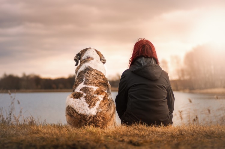 фото Pixaby Завдяки пандемії сервіс психологічної підтримки Ginger став «єдинорогом»