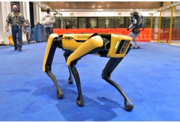 фото Boston Dynamics\AP Поліція Нью-Йорка «звільнила» робособаку Boston Dynamics після критики в соцмережах