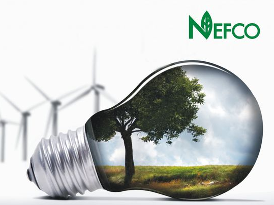 NEFCO зупиняє інвестиції в «зелену» енергетику України NEFCO зупиняє інвестиції в «зелену» енергетику України