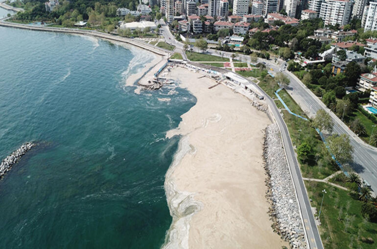 Туреччина почала рятувати Мармурове море від «морських сопель» Туреччина почала рятувати Мармурове море від «морських сопель»
