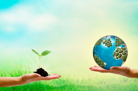 Go global CSR:       볺