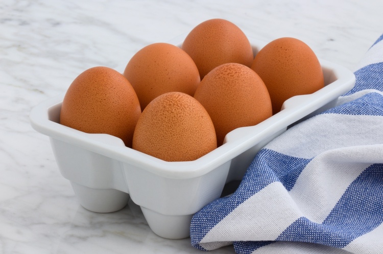 В Україні подорожчали всі продукти тваринного походження - Держстат В Україні подорожчали всі продукти тваринного походження - Держстат