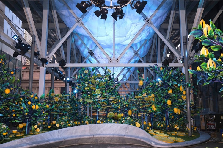 Забудовник в Нью-Йорку замаскував будівельне риштування під сад з лимонними деревами