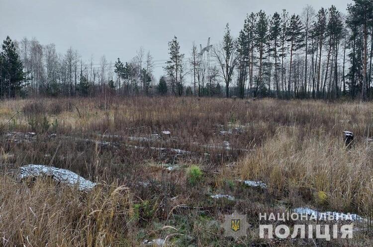 Нацполіція викрила посадовців держпідприємств у незаконній вирубці лісу Нацполіція викрила посадовців держпідприємств у незаконній вирубці лісу