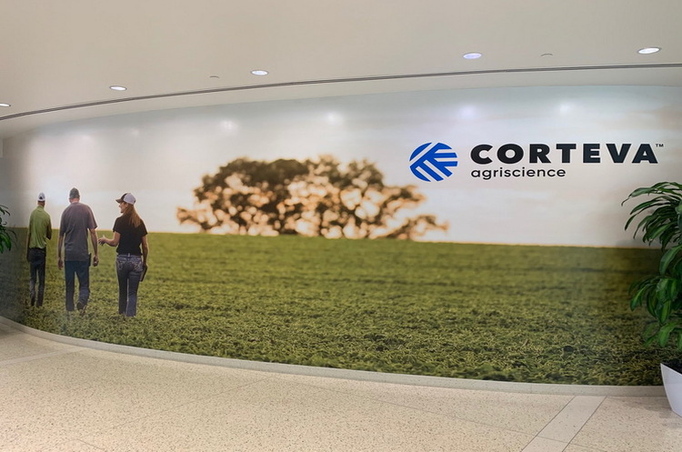 Corteva Agriscience завершила учебный курс для женщин из сельской местности Corteva Agriscience завершила учебный курс для женщин из сельской местности