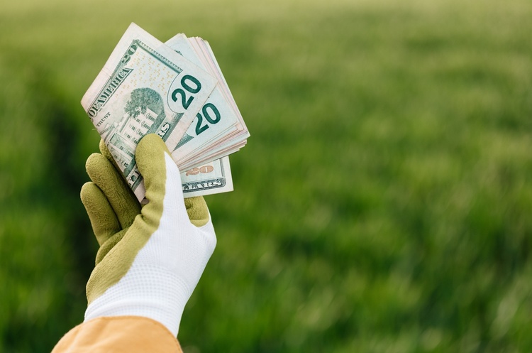 Українці продали 58 500 га сільськогосподарської землі за три місяці роботи ринку Українці продали 58 500 га сільськогосподарської землі за три місяці роботи ринку