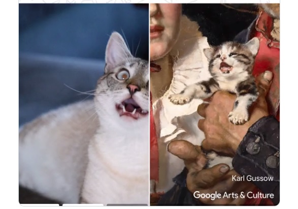 http://g.co/petportraits Google запустила функцію пошуку двійників тварин на картинах відомих художників