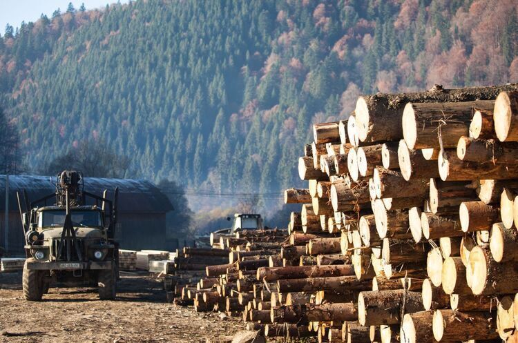 Рада схвалила проєкт закону про ринок деревини