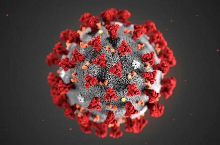 Нове дослідження вказує на появу коронавірусу COVID з мокрого ринку в Ухані – WSJ