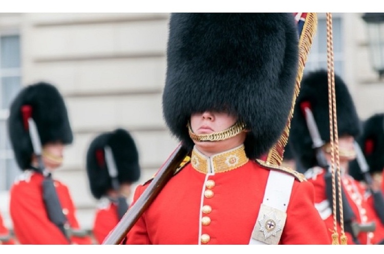 Памела Андерсон критикує уряд Великобританії за ведмежі шапки на гвардійцях
