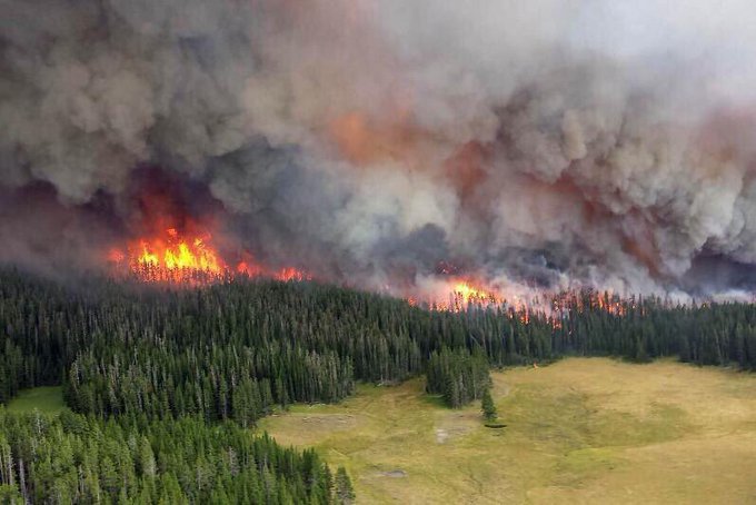 У 2021 році лісові пожежі побили рекорд за кількістю викидів СО2