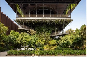 «Експо-2020» в ОАЕ: Сингапур має павільйон у вигляді оазису, а Бразилія – з водою Амазонки