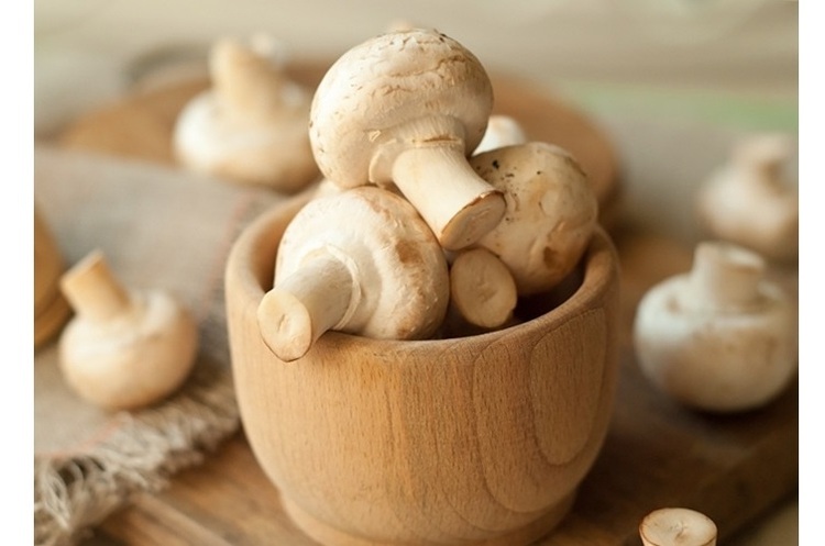 Вчені дослідили, що вживання грибів може знизити ризик депресії