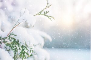 Погода на выходные 15–16 января: ожидаются умеренные морозы и мелкий снег