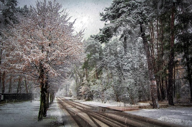 Прогноз погоди на вихідні 29–30 січня: другий місяць зими прощається мокрим снігом