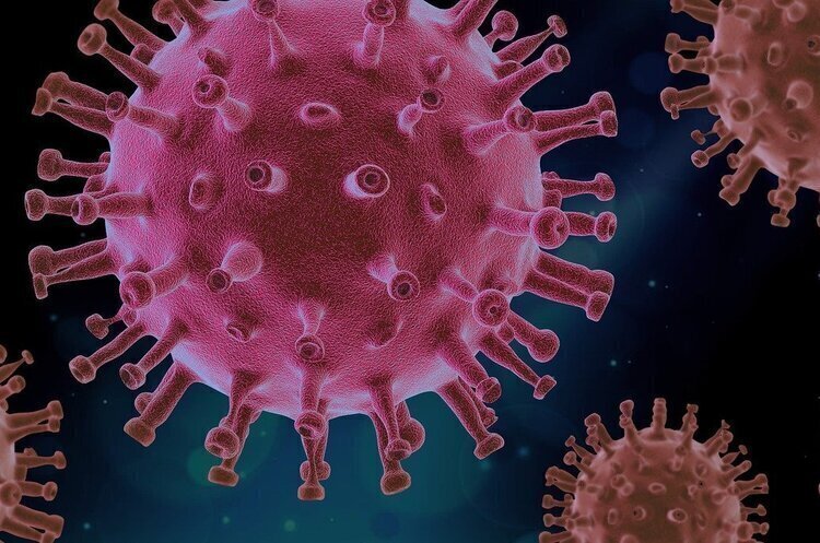 За добу в Україні зафіксували 41 229 нових підтверджених випадків COVID-19 За добу в Україні зафіксували 41 229 нових підтверджених випадків COVID-19