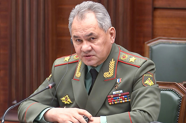 Міністр оборони Росії Сергій Шойгу. путін та шойгу планують вирубку та продаж українського лісу – розвідка