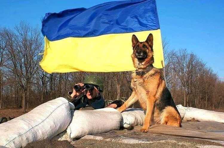 Збройні сили окупанта не дозволяють своїм військовим звільнятися Збройні сили окупанта не дозволяють своїм військовим звільнятися