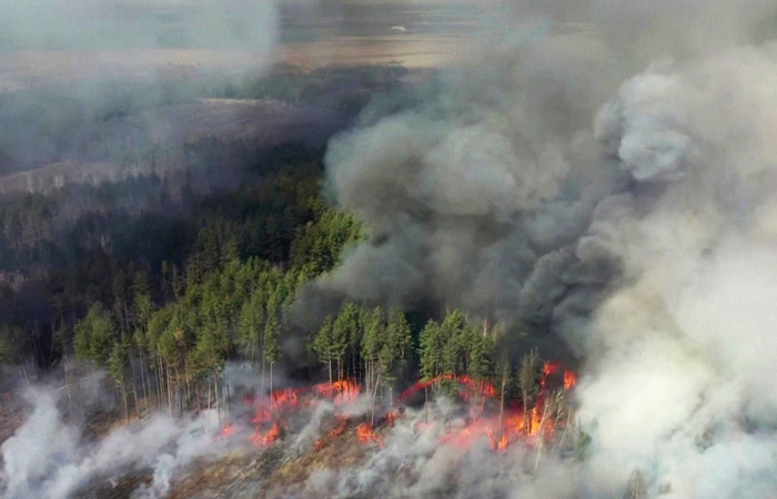 У зоні ЧАЕС горить понад 10 тисяч гектарів лісів, це загрожує радіоактивним забрудненням