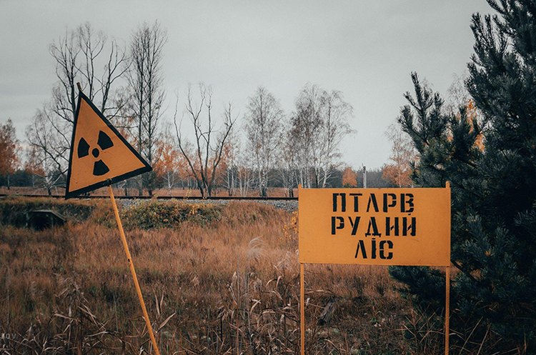 російські військові підняли радіоактивний пил у Рудому лісі під Чорнобилем російські військові підняли радіоактивний пил у Рудому лісі під Чорнобилем