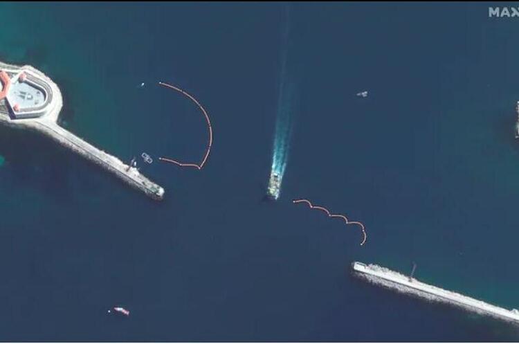 росія використовує спеціально навчених дельфінів для захисту своїх кораблів у Чорному морі