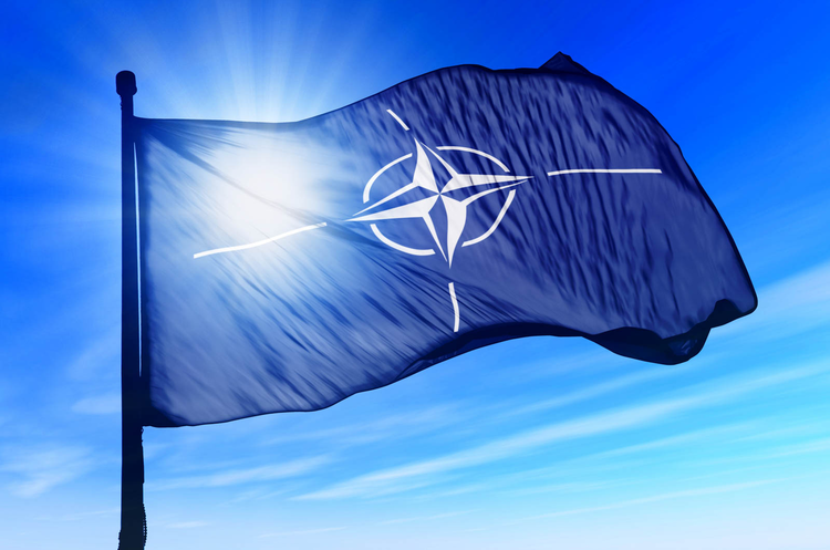Президент Фінляндії зателефонує до путіна обговорити вступ до НАТО