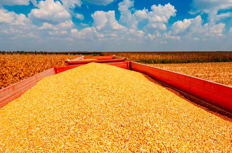 США та Європа опрацьовують безпечні маршрути для експорту зерна з України