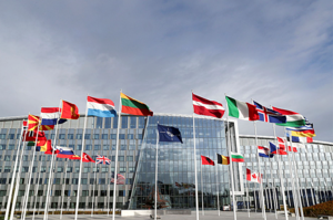Фінляндія і Швеція офіційно подали заявки на вступ до НАТО
