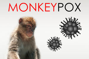 Волдыри, гомофобия и теории заговора: как обезьянья оспа поразила Европу
