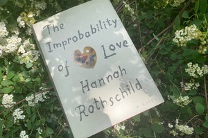 Таємниці на полотні: навіщо читати книгу Ханни Ротшильд «Неймовірність кохання»