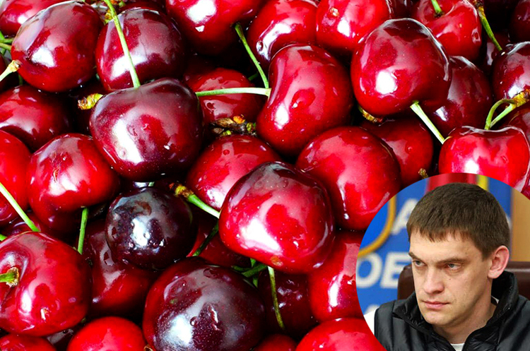 Українські фермери в Мелітополі нагодували окупантів отруєною черешнею Українські фермери в Мелітополі нагодували окупантів отруєною черешнею