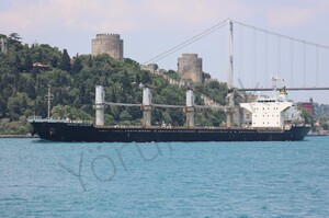Російські кораблі з українським зерном почали заходити в Туреччину — Bosphorus Observer