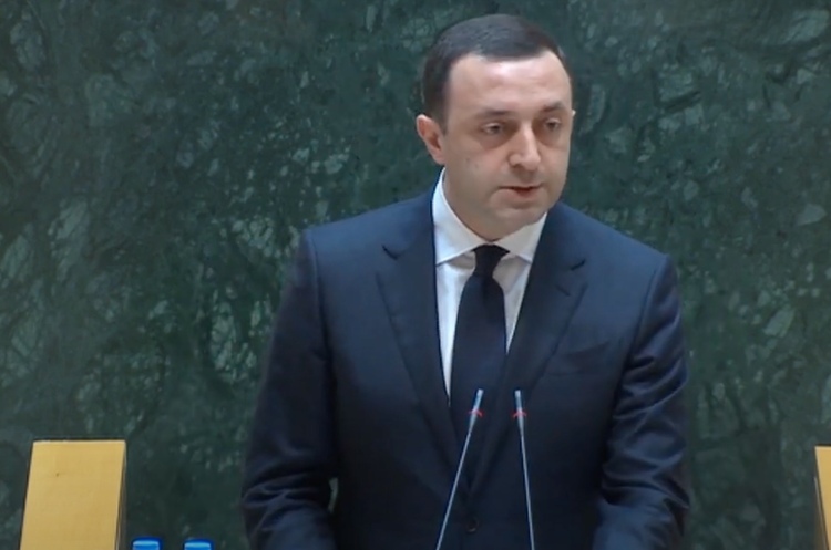 Прем'єр-міністр Грузії Гарібашвілі заявив, що Арахамія перешкоджав його країні отримати статус кандидата у члени Євросоюзу