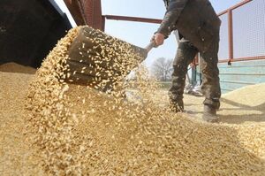 План щодо експорту українського зерна має задовольнити інтереси як росії, так й України – голова МЗС Туреччини