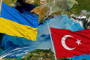 Туреччина хоче досягти результату в переговорах щодо розблокування українського зерна через 7–10 днів