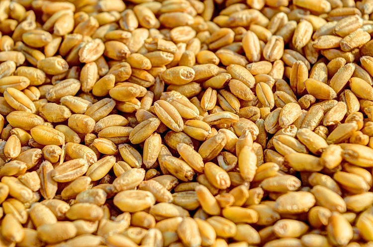 Ukrzaliznytsia exported twice as much grain in June as in March Ukrzaliznytsia exported twice as much grain in June as in March