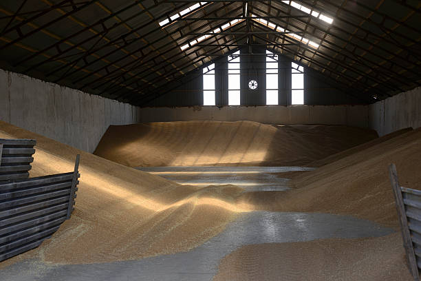 Рада пропонує скасувати оподаткування імпортної техніки для зберігання зерна