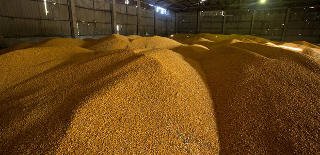 Украина планирует экспортировать до 3 млн тонн зерна в течение двух месяцев