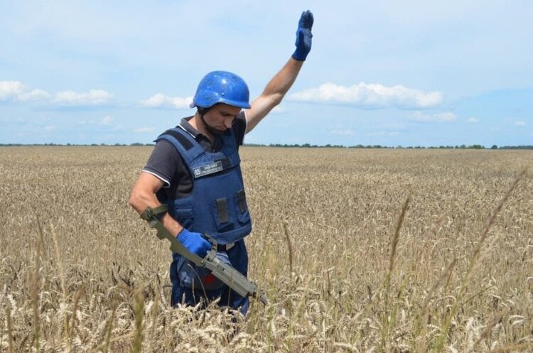 Сутінки агрохолдингів: як війна змінить сільське господарство України