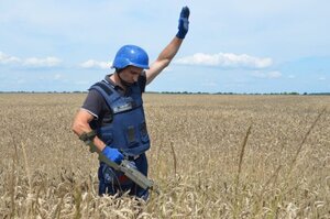 Сумерки агрохолдингов: как война изменит сельское хозяйство Украины