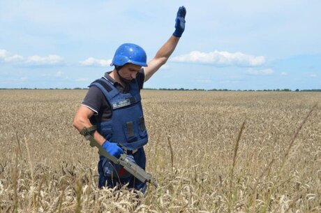Сумерки агрохолдингов: как война изменит сельское хозяйство Украины