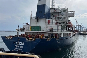 Прибуття першого судна з українською кукурудзою до ліванського порту відкладається – посол