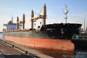 До Чорноморську прибуло вже друге експортне судно
