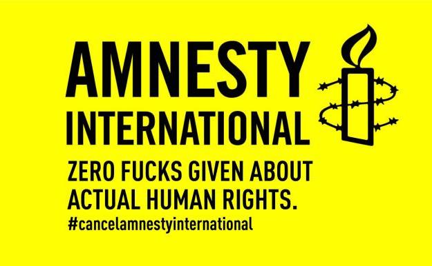 Співзасновник шведської Amnesty International залишив організацію через доповідь про Україну
